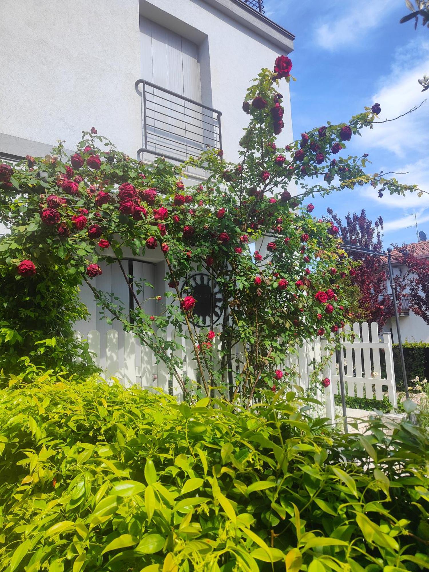 Villa Marianna Garda Lake Peschiera del Garda Exterior photo